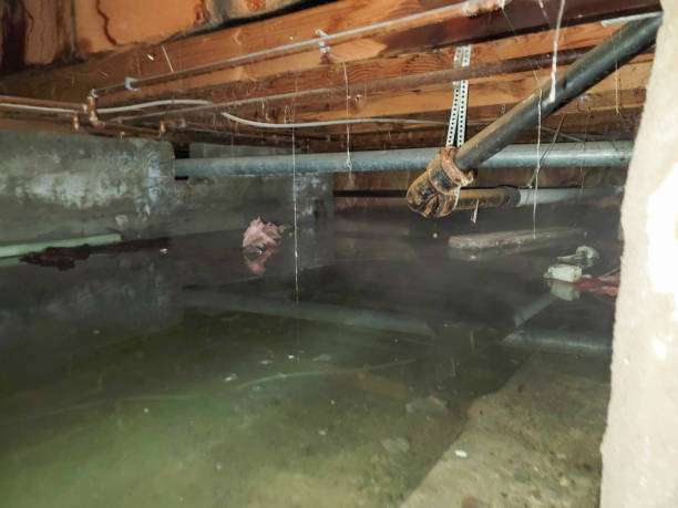 Water damage restoration process in Oak Park, IL