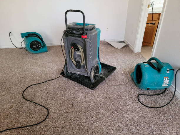 Best Local water damage restoration  in Oak Park, IL