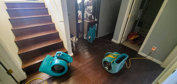 Carpet water damage restoration in Oak Park, IL