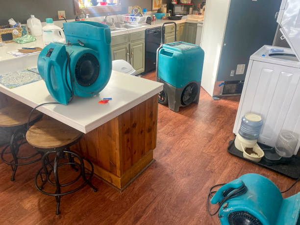 Best Commercial water damage restoration  in Oak Park, IL