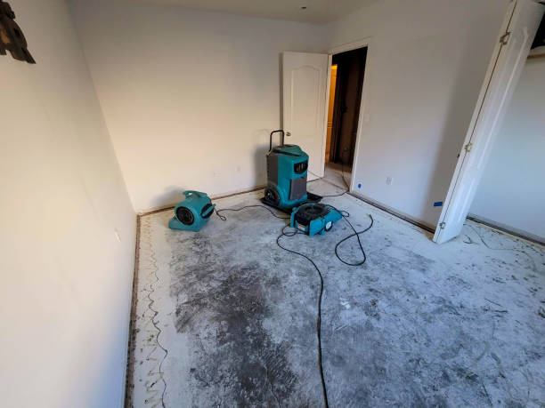 Best Sewage cleanup and water damage restoration  in Oak Park, IL