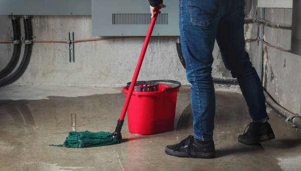Best Water damage restoration cost  in Oak Park, IL