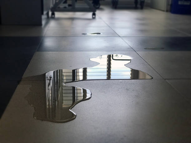 Best 24/7 water damage repair  in Oak Park, IL