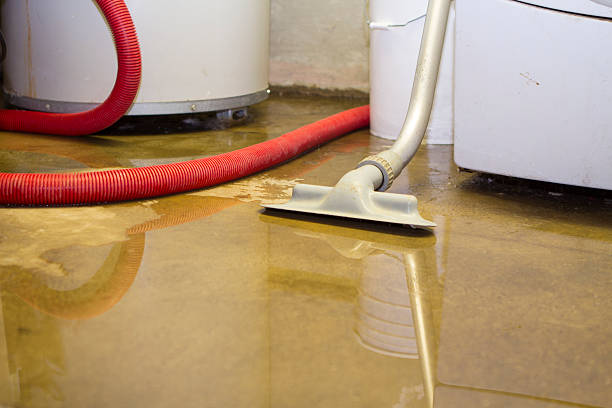 Best Fire Damage Restoration  in Oak Park, IL