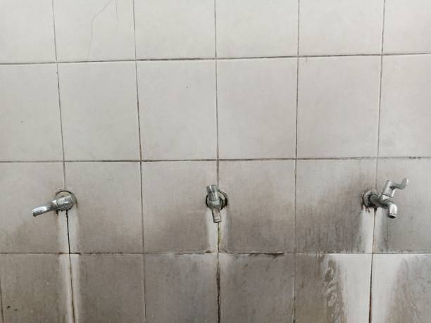 Best Flood damage cleanup  in Oak Park, IL