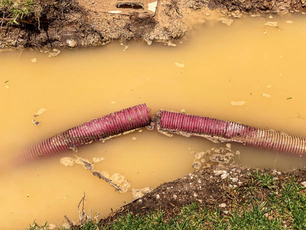 Best Water damage repair service  in Oak Park, IL