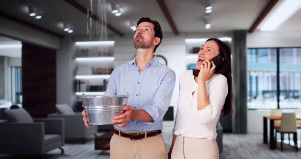 Best Water damage contractors near me  in Oak Park, IL